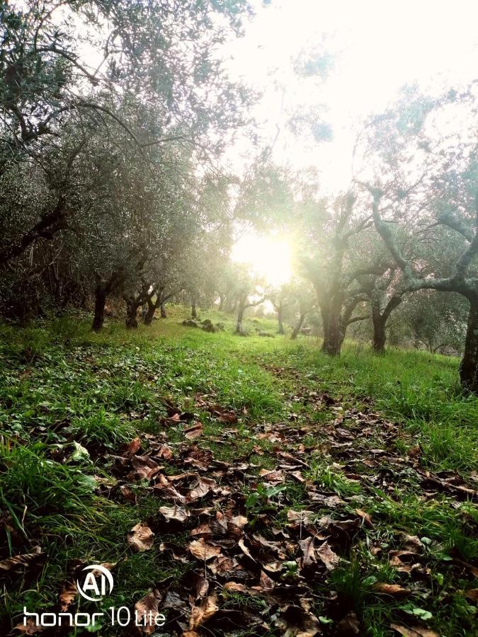 Appartamento Serenella Maenza Exterior foto
